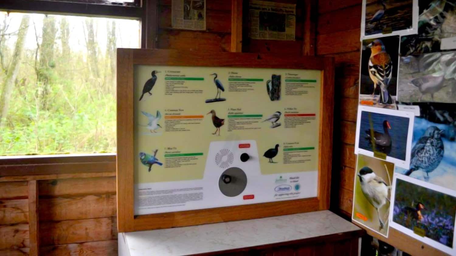 AudioSign Turn at Fairhaven Woodland and Water Garden Bird Hide