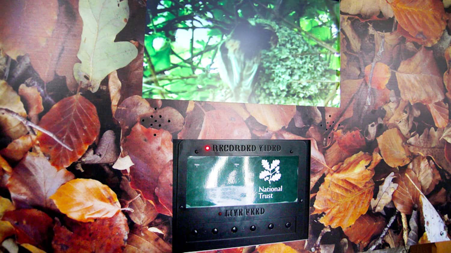 VideoFrame 12 supplied by Blackbox-av for Gibside National Trust