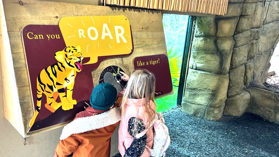 Can You Roar Like a Tiger wind up audio device london zoo