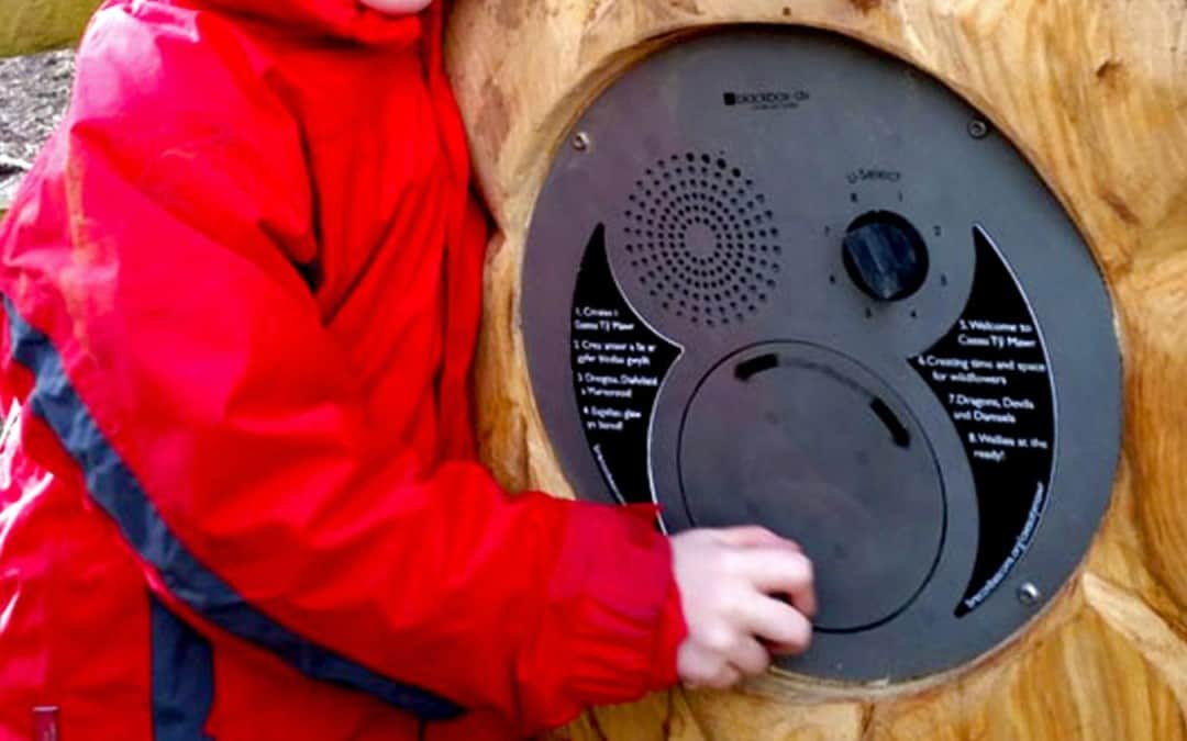 UTR Oversized Front Panel – Caeau Ty Mawr Fields