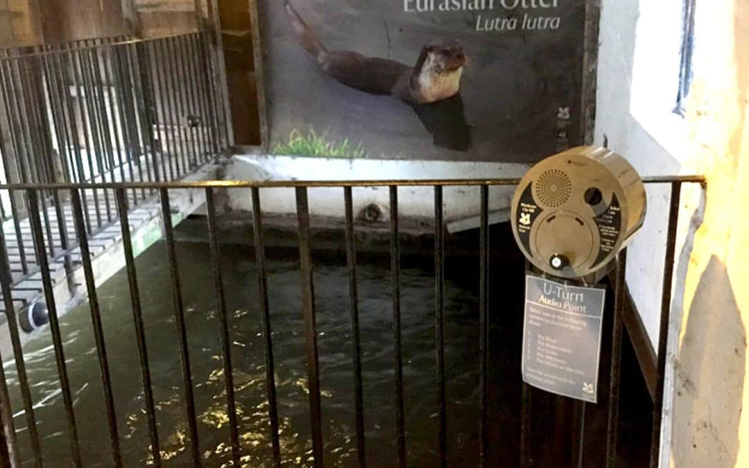 U-Turn Round & AudioFrame 15 – Winchester City Mill