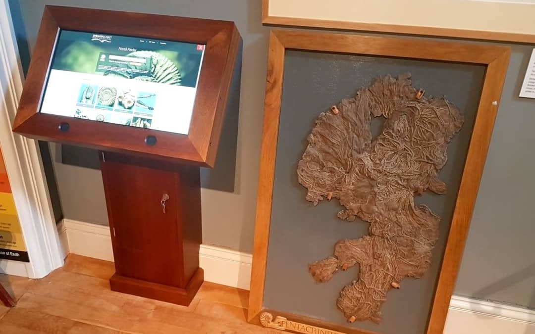 Lyme Regis Museum, Dorset