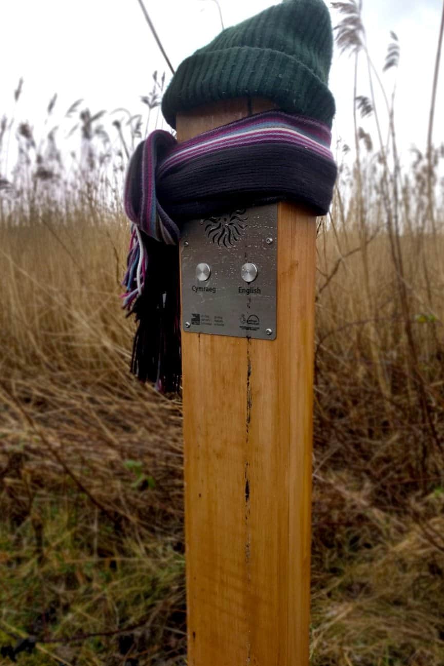 Solar Audio Post wrapped up in snow at RSPB Conwy