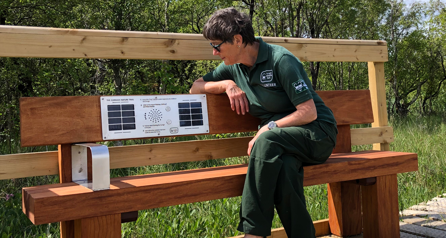 Closeup of person sitting on Heavy Duty Audio Bench at Curraghs Wildlife Park