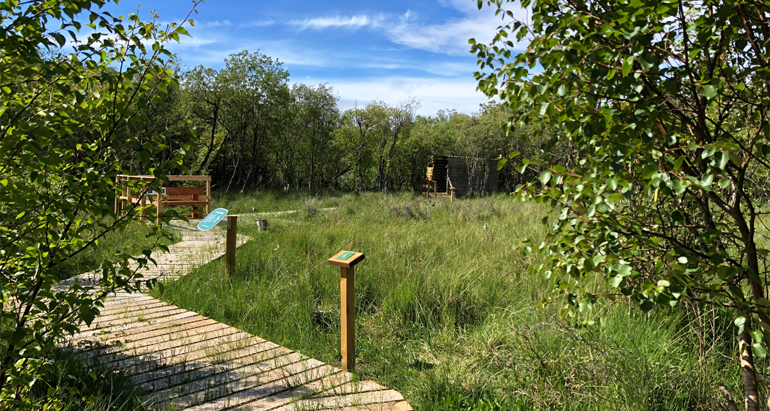 Establishing Shot of Heavy Duty Audio Bench at Curraghs Wildlife Park