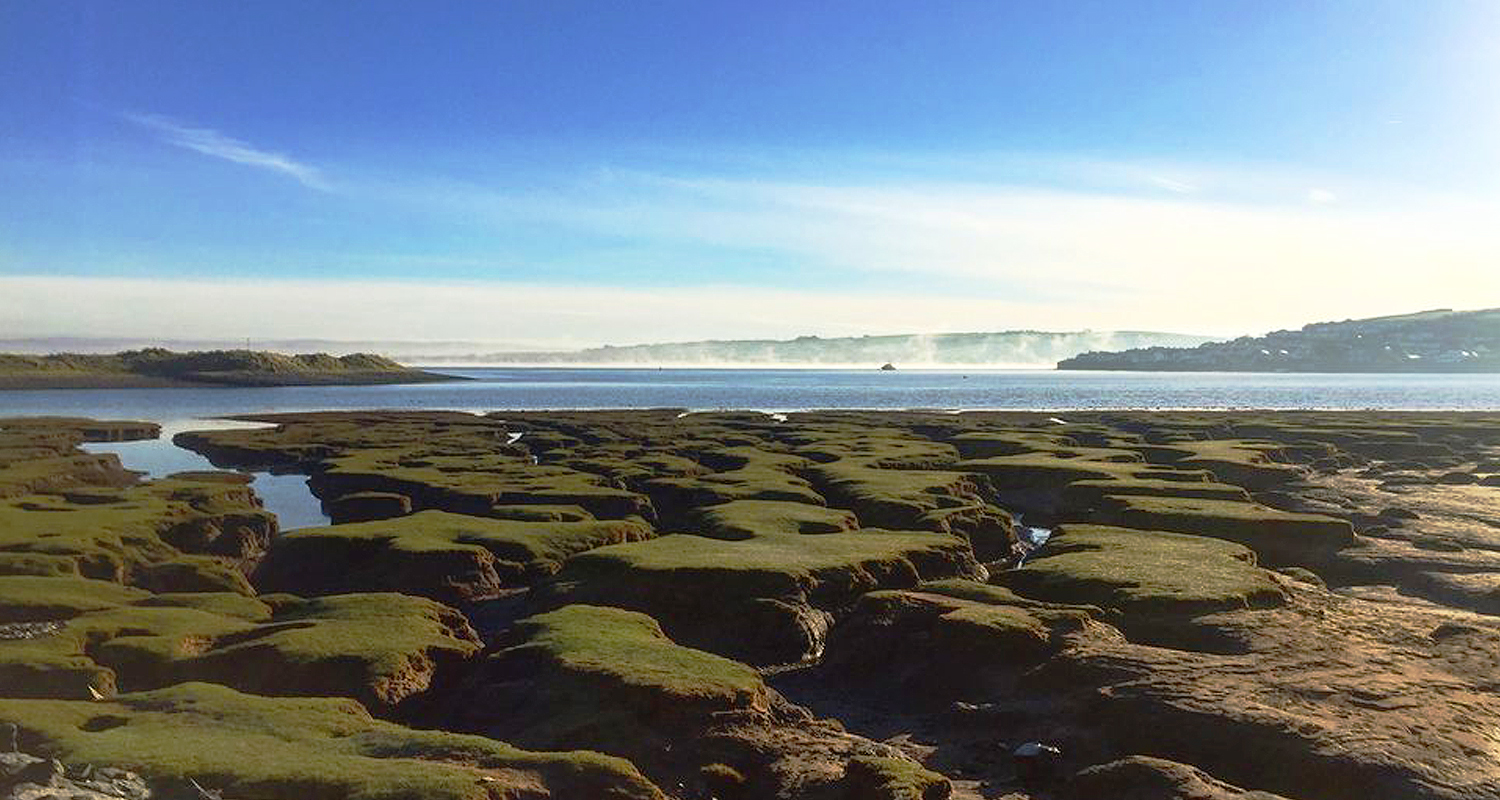 Northam Burrows Landscape