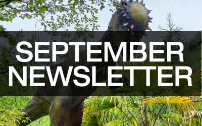 September Newsletter – What we’ve been up to