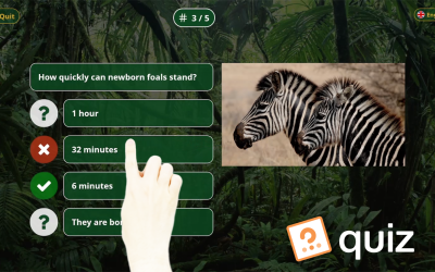 How do I create a touchscreen quiz for my visitors?