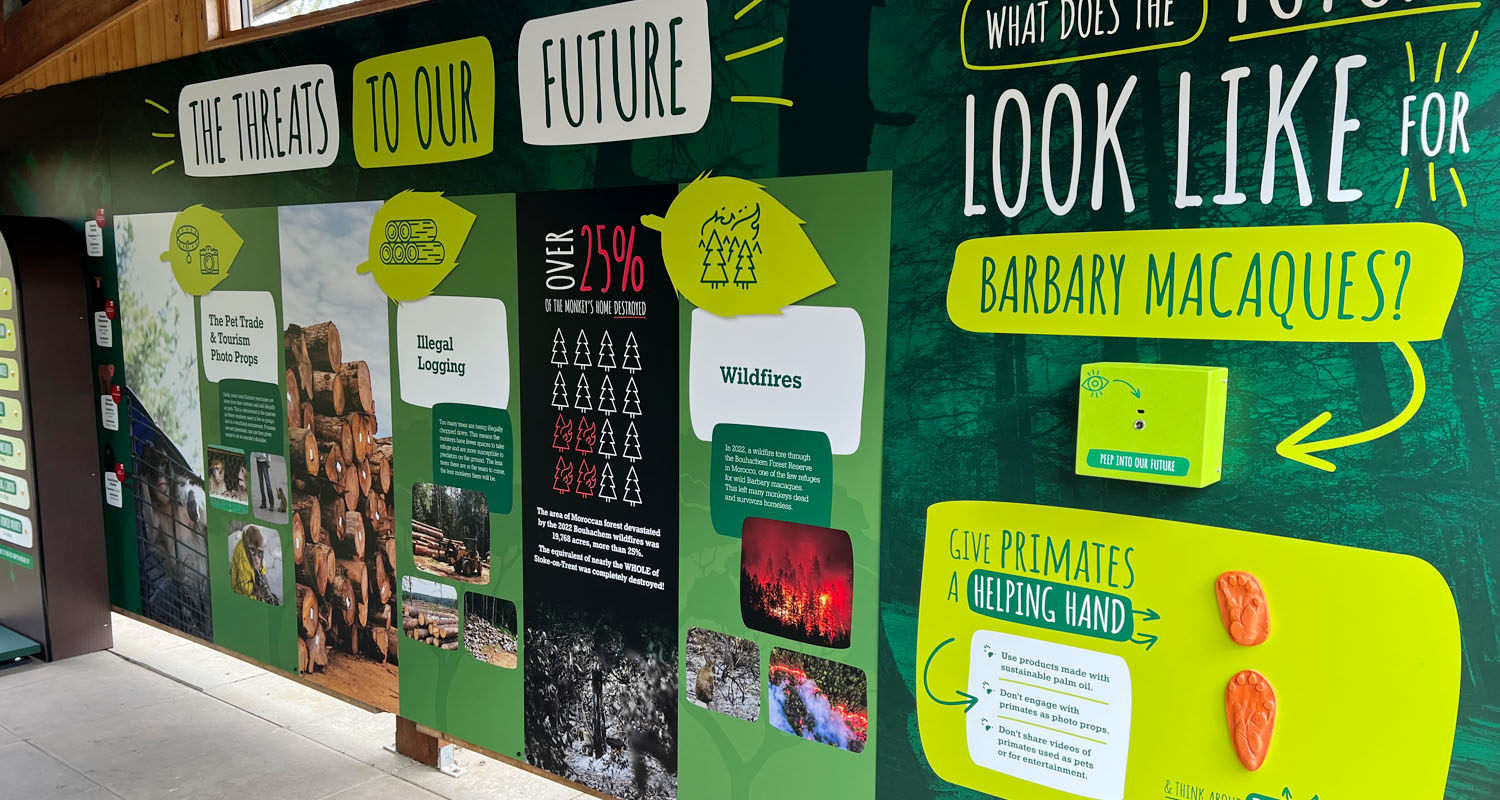 Future Wall with peep-hole diarama, hand and feet moulds at Trentham Monkey Forest