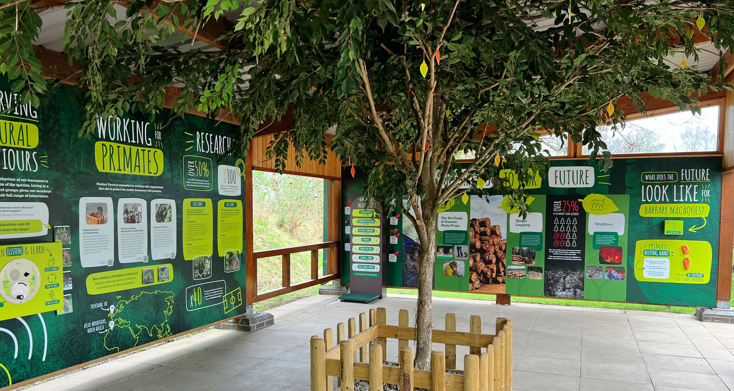 Present Wall and Future Wall in the Conservation Centre at Trentham Monkey Forest