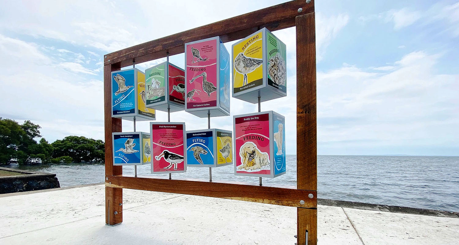 Box spinner at Nudgee Beach