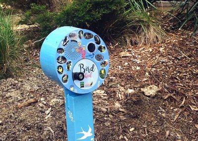 U-Turn Round – Nudgee Beach