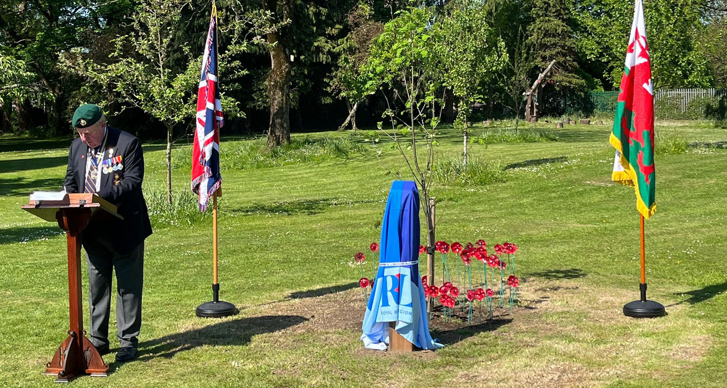 Solar Audio Post pre-unveil at Port Talbot Rowan Tree (landscape)