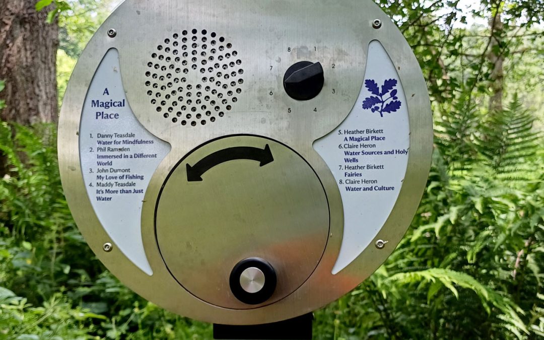 U-Turns and Solar Audio Bench – Acorn Bank